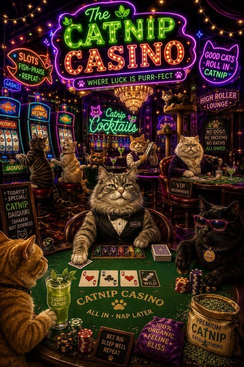 Betify casino en ligne, betify connexion