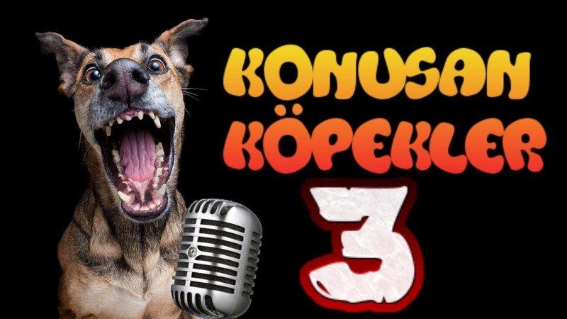 Introduction to jokabet